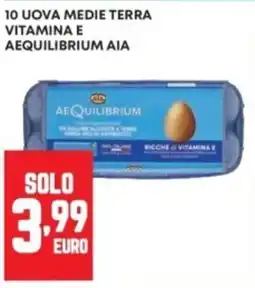 Panorama Uova medie terra Aequilibrium offerta