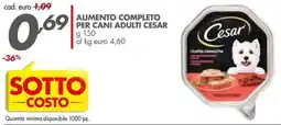 Italmark Alimento completo per cani adulti Cesar offerta