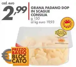 Italmark Grana Padano DOP in scaglie Consilia offerta