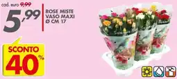 Italmark Rose Miste Vaso Maxi offerta