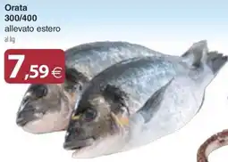 Docks Cash&Carry Orata offerta
