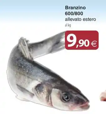 Docks Cash&Carry Branzino offerta