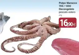 Docks Cash&Carry Polpo Marocco Decongelato offerta