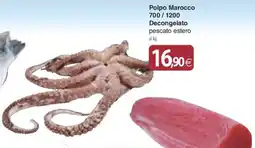 Docks Cash&Carry Polpo Marocco offerta