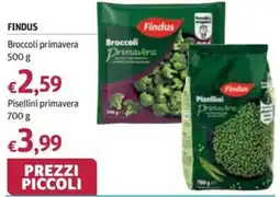 Futura Supermercati Findus Broccoli primavera offerta