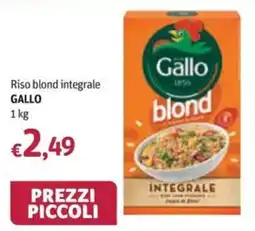 Futura Supermercati Riso blond integrale Gallo offerta