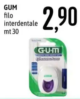 Emisfero GUM filo interdentale offerta
