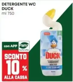 Panorama Detergente wc Duck offerta
