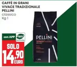 Panorama Caffè in grani vivace tradizionale Pellini classico offerta