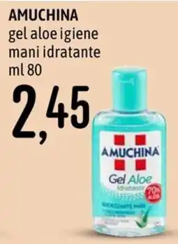 Emisfero Amuchina gel aloe igiene mani idratante offerta