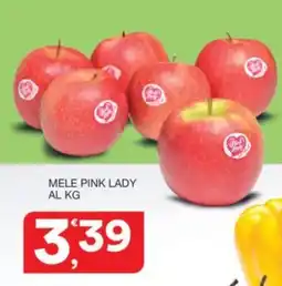 Quick Sisa Mele Pink Lady offerta