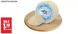 Panorama Caciotta Vaccina offerta