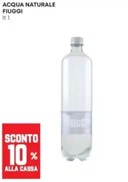 Panorama Acqua naturale Fiuggi offerta