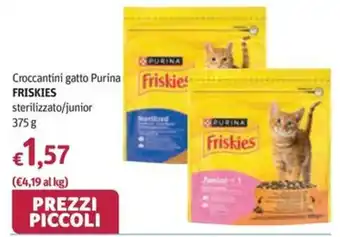 Futura Supermercati Crocchettini gatto Purina Friskies offerta