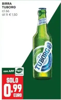 Panorama Birra Tuborg offerta