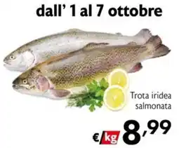 Maxi Supermercati Trota iridea salmonata offerta