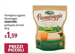 Futura Supermercati Parmareggio Granterre offerta