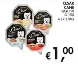 Superstore Coal Cesar Cane offerta