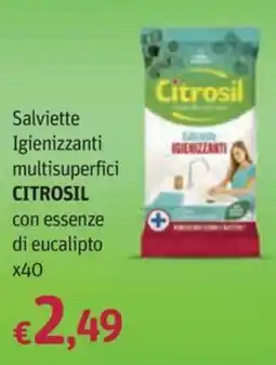 Futura Supermercati Salviette igienizzanti multisuperfici Citrosil con essenze di eucalipto offerta