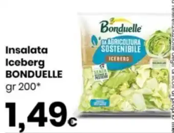 Insalata Iceberg Bonduelle