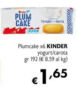Maxi Family Plumcake Kinder offerta