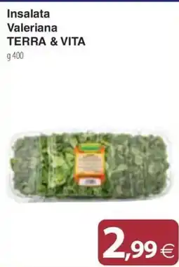 Docks Cash&Carry Insalata Valeriana TERRA & VITA offerta