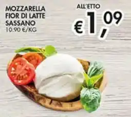 Superstore Coal Mozzarella fior di latte sassano offerta