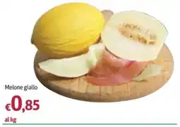 Futura Supermercati Melone giallo offerta