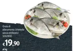 Futura Supermercati Orata di allevamento Orbetello senza antibiotici offerta
