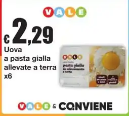 Sì con te Uova a pasta gialla allevate a terra offerta