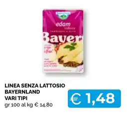 Mercatò Big Linea senza lattosio Bayernland offerta