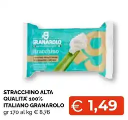 Mercatò Big Stracchino alta qualità 100% italiano Granarolo offerta