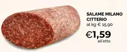 Mercatò Big Salame milano citterio offerta
