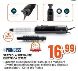 Expert Di Lella Spazzola soffiante elettrica Princess offerta