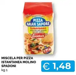 Mercatò Big Miscela per pizza istantanea Molino Spadoni offerta
