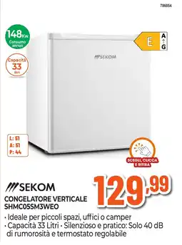 Expert Di Lella Sekom congelatore verticale offerta