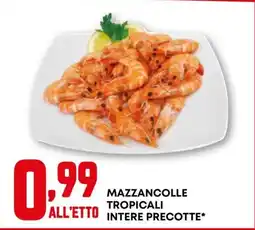 Kanguro Mazzancolle tropicali offerta