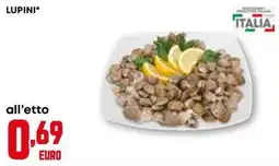 Kanguro Lupini offerta