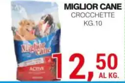 Supermercati Spesa Mia Miglior cane crocchette active offerta
