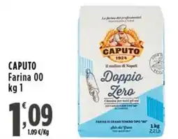 Rossotono Carrefour Caputo Farina 00 offerta