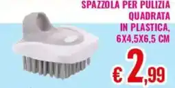 Satur Spazzola per pulizia quadrata offerta
