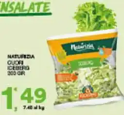 Sisa Naturizia lattuga iceberg offerta