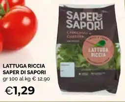 Mercatò Big Lattuga riccia Saper di Sapori offerta