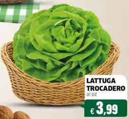 Mercati Alimentari Lattuga Trocadero offerta