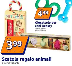 Action Scatola regalo animali offerta