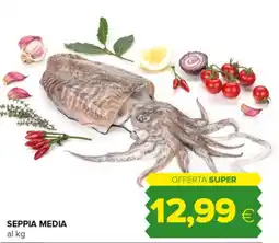 Oasi Seppia media offerta