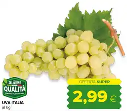 Oasi Uva Italia offerta