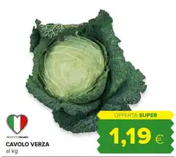 Oasi Cavolo Verza offerta