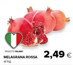 Oasi Melagrana Rossa offerta
