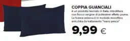 Oasi Coppia guanciali offerta